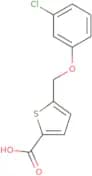 5-(3-Chlorophenoxymethyl)thiophene-2-carboxylic acid