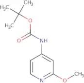 (2-Methoxy-pyridin-4-yl)-carbamic acid tert-butyl ester