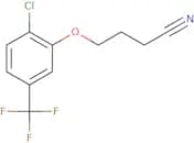 N-Desbispropyl-N-pentyl-2-methyl ropinirole