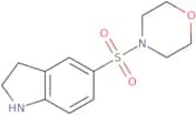 5-(Morpholine-4-sulfonyl)-2,3-dihydro-1H-indole