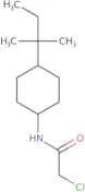 2-Chloro-N-[4-(2-methylbutan-2-yl)cyclohexyl]acetamide