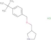 N-(3,4-Dimethylphenyl)-2-oxo-3,4-dihydro-1H-quinoline-6-sulfonamide