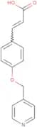 (2E)-3-{4-[(Pyridin-4-yl)methoxy]phenyl}prop-2-enoic acid