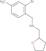 [(2-Bromo-4-methylphenyl)methyl](oxolan-2-ylmethyl)amine