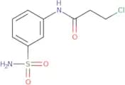 3-Chloro-N-(3-sulfamoylphenyl)propanamide