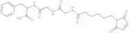 Mc-Gly-Gly-Phe