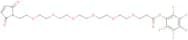 Mal-PEG6-PFP