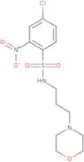 ((4-chloro-2-nitrophenyl)sulfonyl)(3-morpholin-4-ylpropyl)amine