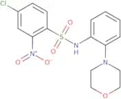 ((4-chloro-2-nitrophenyl)sulfonyl)(2-morpholin-4-ylphenyl)amine