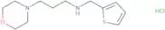 [3-(Morpholin-4-yl)propyl](thiophen-2-ylmethyl)amine hydrochloride
