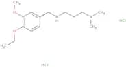 [3-(Dimethylamino)propyl][(4-ethoxy-3-methoxyphenyl)methyl]amine dihydrochloride