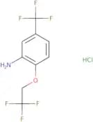 2-(2,2,2-Trifluoroethoxy)-5-(trifluoromethyl)aniline hydrochloride