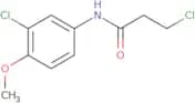 3-Chloro-N-(3-chloro-4-methoxyphenyl)propanamide
