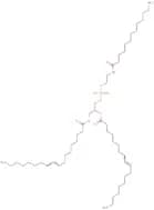 1,2-Dioleoyl-sn-glycero-3-phosphoethanolamine-N-(dodecanylamine)