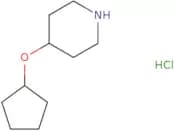 4-(Cyclopentyloxy)piperidine hydrochloride