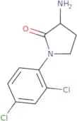 3-Amino-1-(2,4-dichlorophenyl)pyrrolidin-2-one