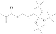METHACRYLOXYPROPYLTRIS(TRIMETHYLSILOXY)SILANE