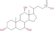 Cholic Acid-24-13C