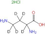 DL-2,4-Diaminobutyric-2,3,3,4,4-d5 Acid 2 HCl(DiaminobutyricAcid)