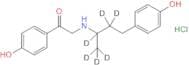 (±)-Ractopamine-d6 Ketone HCl(1-methyl-d3-propyl-1,2,2-d3)