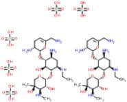 FIRST INTERNATIONAL STANDARD FOR NETILMICIN