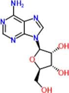Adenosine