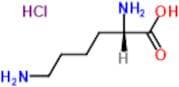 L-Lysine Hydrochloride