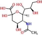 N-Acetylneuraminic Acid