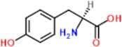 L-Tyrosine