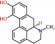 Apomorphine Hydrochloride