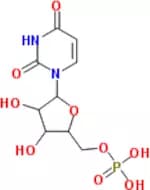 Disodium 5'-Uridylate