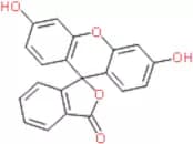 Fluorescein