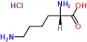 L-Lysine Hydrochloride