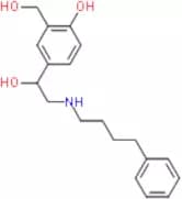 Salmeterol Related Compound A (4-[1-Hydroxy-2-(4-phenylbutylamino)ethyl]-2-(hydroxymethyl)phenol 1…
