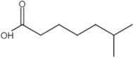 6-Methylheptanoic acid