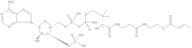 Crotonyl Coenzyme A free acid