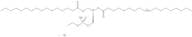 1-Palmitoyl-2-Oleoyl-glycero-3-phosphoethanol Na