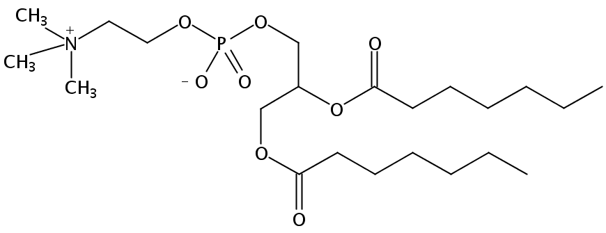 1,2-Diheptanoyl-sn-Glycero-3-Phosphatidylcholine