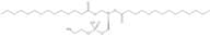 1,2-Dimyristoyl-sn-Glycero-3-Phosphatidylethanolamine