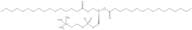 1,2-Dipalmitoyl-sn-Glycero-3-Phosphatidylcholine