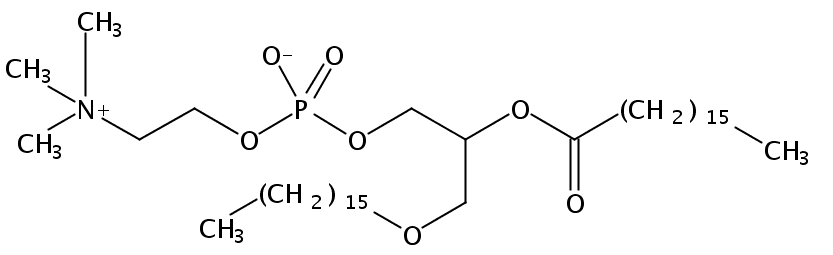 1,2-Di-O-Hexadecyl-sn-Glycero-3-Phosphatidylcholine