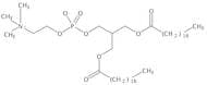 1,2-Distearoyl-sn-Glycero-3-Phosphatidylcholine