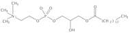1-Myristoyl-2-Hydroxy-sn-Glycero-3-Phosphatidylcholine