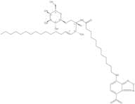 N-Dodecanoyl-NBD-galactosylceramide