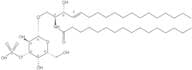 Palmitoyl Sulfatide