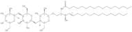 Heptadecanoyl ceramide trihexoside (C17 CTH)