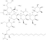 Fucosylated monosialoganglioside GM1 (NH4+)