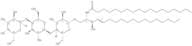 C18 Globotriaosylceramide (d18:1/18:0)