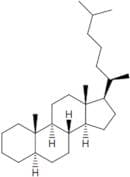 5-α-Cholestane