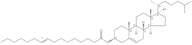 Cholesteryl Palmitelaidate